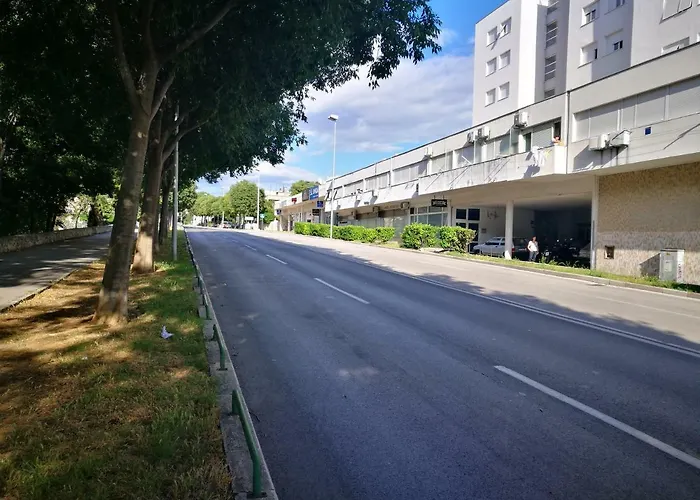 Doris,self Check In * Сплит